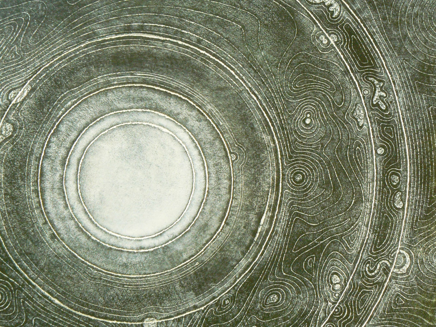 Oeuvre de Aude Arnold, gravure, artiste sgraffito, enduit chaux