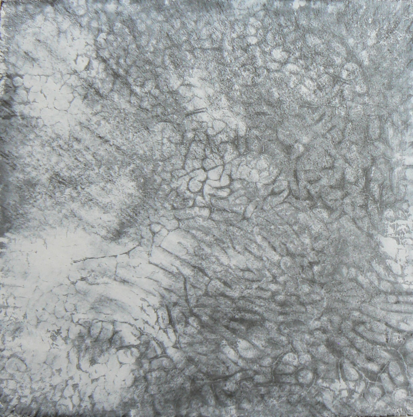 Stuc chaux, sur panneau bois, pigments et cire.   