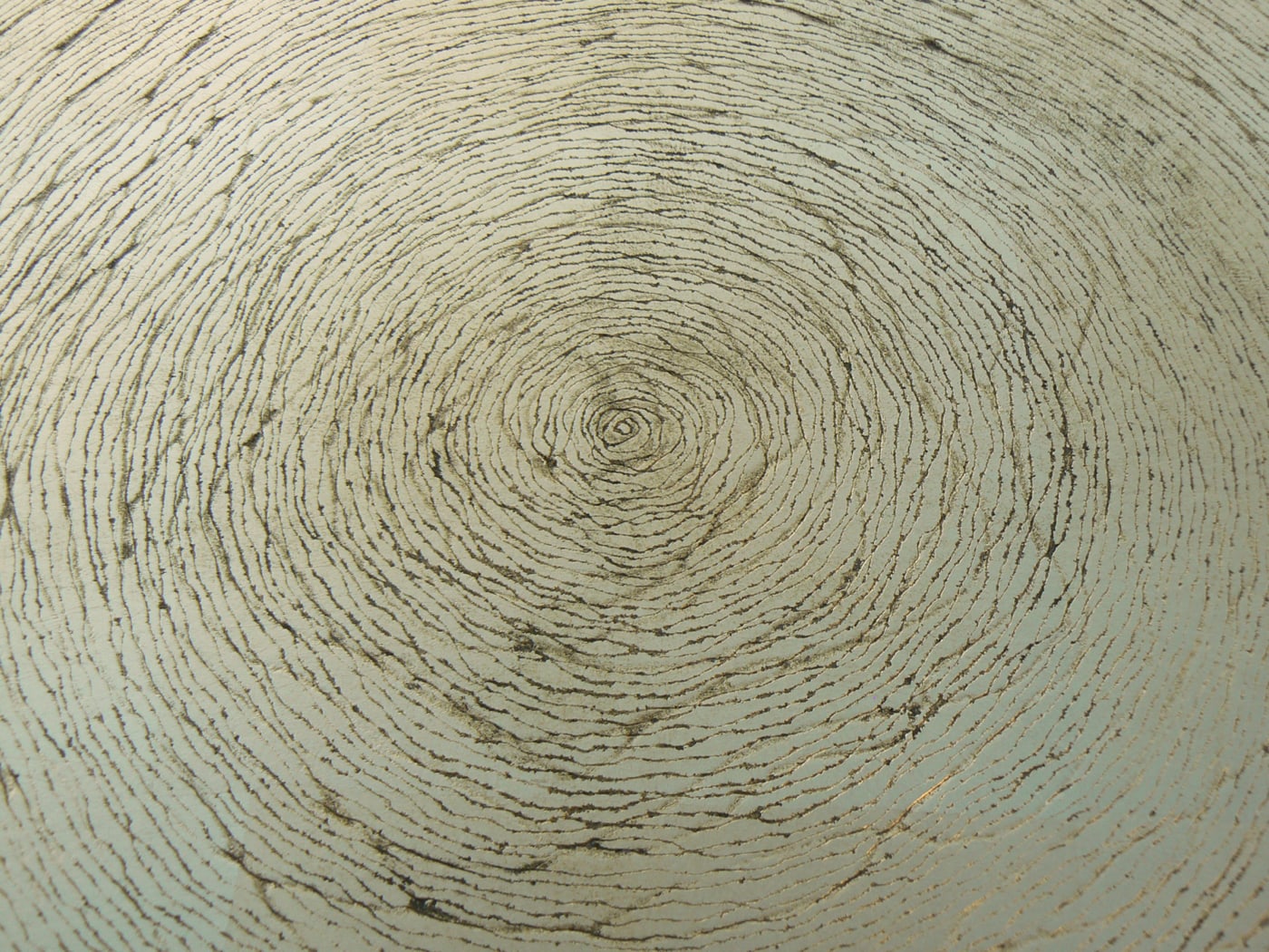 Oeuvre de Aude Arnold, gravure, artiste sgraffito, enduit chaux