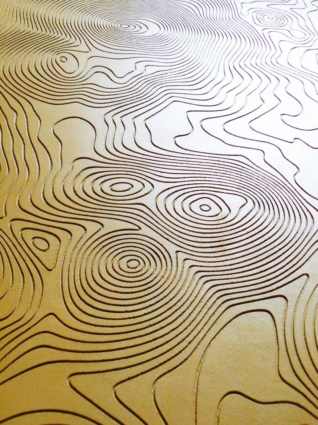 Oeuvre de Aude Arnold, gravure, artiste sgraffito, enduit chaux