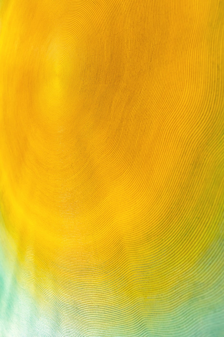 Oeuvre de Aude Arnold, artiste sgraffito, enduit chaux