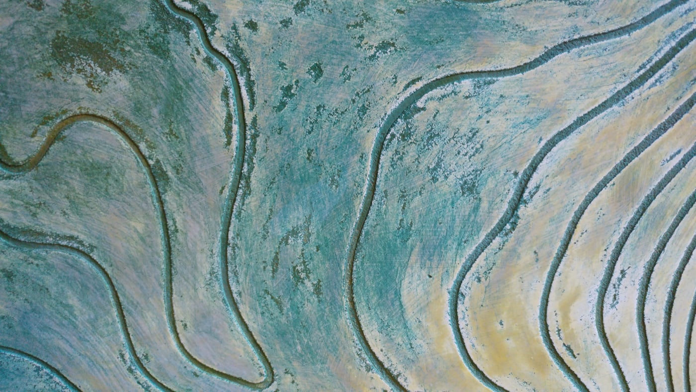 Oeuvre de Aude Arnold, artiste sgraffito, enduit chaux